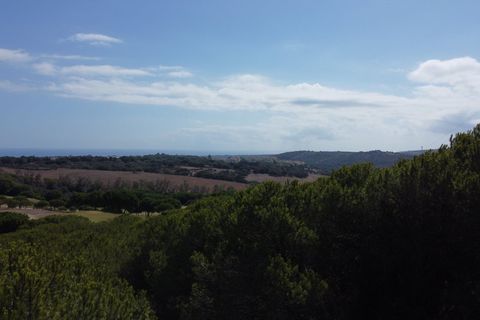 Helårsgrund i Sotogrande, Cadiz, Sotogrande - € 3.000.000 | Ref: SPCRM1572 - foto 8