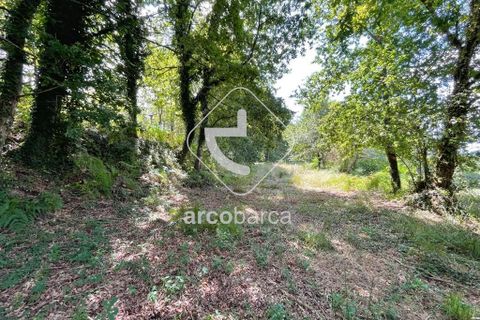 Helårsgrund i Arcos de Valdevez, Viana do Castelo, Arcos de Valdevez - € 180.000 | Ref: AV6057 - foto 4