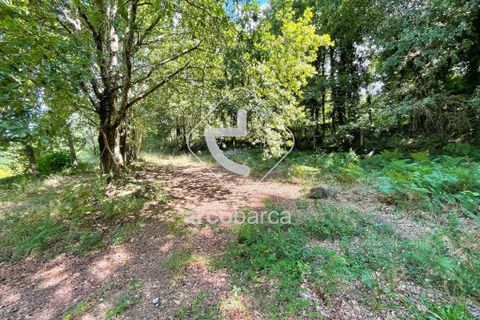 Helårsgrund i Arcos de Valdevez, Viana do Castelo, Arcos de Valdevez - € 180.000 | Ref: AV6057 - foto 10