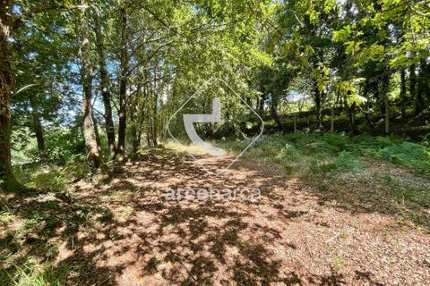 Helårsgrund i Arcos de Valdevez, Viana do Castelo, Arcos de Valdevez - € 180.000 | Ref: AV6057 - foto 11