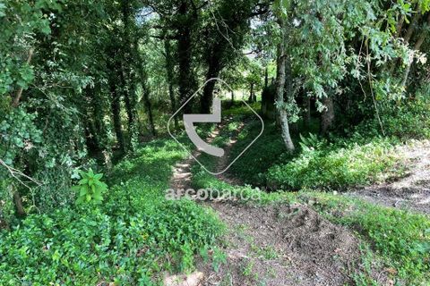 Helårsgrund i Arcos de Valdevez, Viana do Castelo, Arcos de Valdevez - € 180.000 | Ref: AV6057 - foto 12