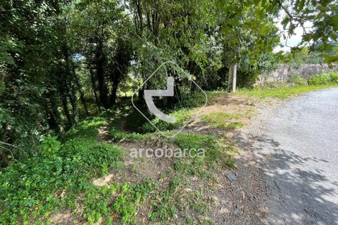 Helårsgrund i Arcos de Valdevez, Viana do Castelo, Arcos de Valdevez - € 180.000 | Ref: AV6057 - foto 13