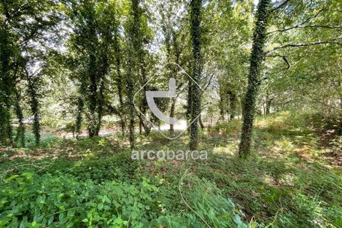 Helårsgrund i Arcos de Valdevez, Viana do Castelo, Arcos de Valdevez - € 180.000 | Ref: AV6057 - foto 15