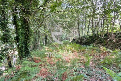 Helårsgrund i Arcos de Valdevez, Viana do Castelo, Arcos de Valdevez - € 180.000 | Ref: AV6057 - foto 16