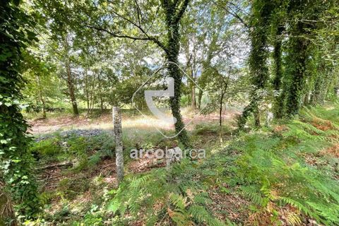 Helårsgrund i Arcos de Valdevez, Viana do Castelo, Arcos de Valdevez - € 180.000 | Ref: AV6057 - foto 18