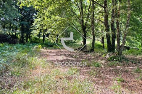 Helårsgrund i Arcos de Valdevez, Viana do Castelo, Arcos de Valdevez - € 180.000 | Ref: AV6057 - foto 19