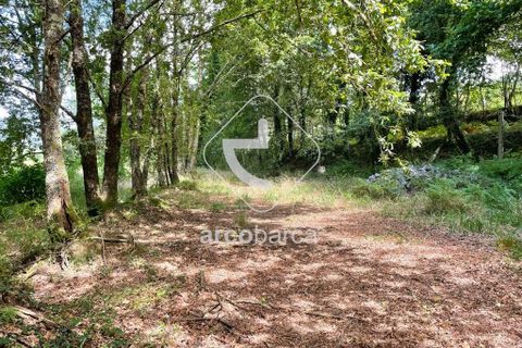 Helårsgrund i Arcos de Valdevez, Viana do Castelo, Arcos de Valdevez - € 180.000 | Ref: AV6057 - foto 20