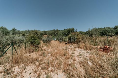 Helårsgrund i Covilha, Castelo Branco, Covilha - € 50.000 | Ref: 255240142 - foto 8