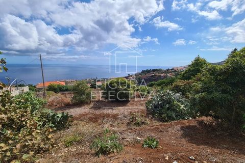 Helårsgrund i Caniço, Madeira, Caniço - € 560.000 | Ref: TER_1 - foto 2