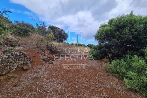 Helårsgrund i Caniço, Madeira, Caniço - € 560.000 | Ref: TER_1 - foto 3