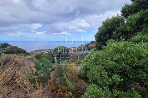 Helårsgrund i Caniço, Madeira, Caniço - € 560.000 | Ref: TER_1 - foto 4