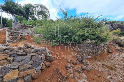 Helårsgrund i Caniço, Madeira, Caniço - € 560.000 | Ref: TER_1 - foto 5