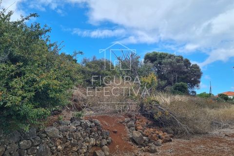 Helårsgrund i Caniço, Madeira, Caniço - € 560.000 | Ref: TER_1 - foto 6