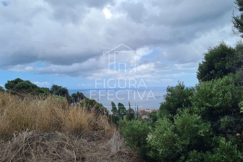 Helårsgrund i Caniço, Madeira, Caniço - € 560.000 | Ref: TER_1 - foto 7