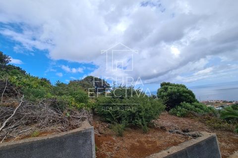 Helårsgrund i Caniço, Madeira, Caniço - € 560.000 | Ref: TER_1 - foto 8
