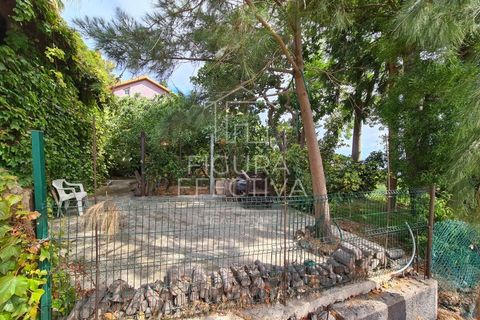 Helårsgrund i Caniço, Madeira, Caniço - € 560.000 | Ref: TER_1 - foto 9