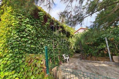 Helårsgrund i Caniço, Madeira, Caniço - € 560.000 | Ref: TER_1 - foto 10