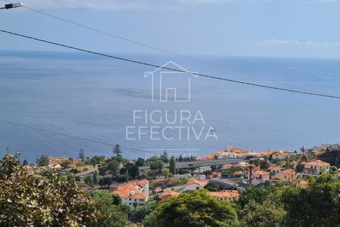 Helårsgrund i Caniço, Madeira, Caniço - € 560.000 | Ref: TER_1 - foto 11