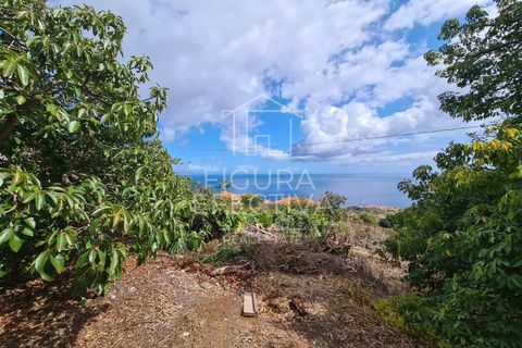 Helårsgrund i Caniço, Madeira, Caniço - € 560.000 | Ref: TER_1 - foto 12