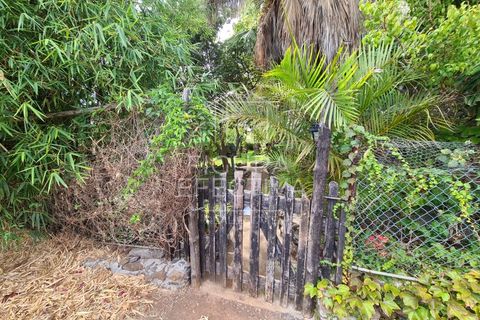 Helårsgrund i Caniço, Madeira, Caniço - € 560.000 | Ref: TER_1 - foto 13