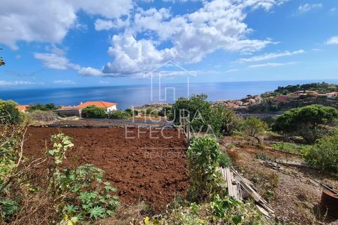 Helårsgrund i Caniço, Madeira, Caniço - € 560.000 | Ref: TER_1 - foto 1