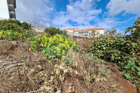 Helårsgrund i Caniço, Madeira, Caniço - € 560.000 | Ref: TER_1 - foto 14