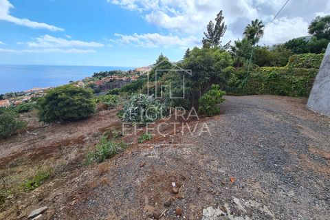 Helårsgrund i Caniço, Madeira, Caniço - € 560.000 | Ref: TER_1 - foto 15