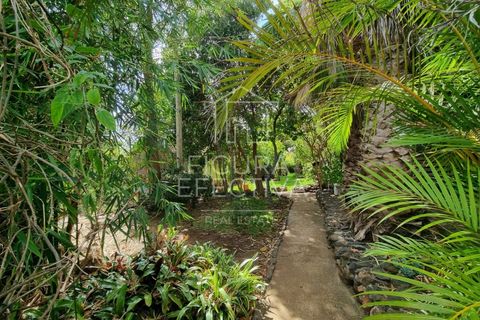 Helårsgrund i Caniço, Madeira, Caniço - € 560.000 | Ref: TER_1 - foto 16