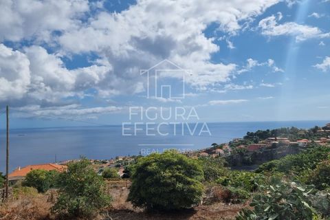 Helårsgrund i Caniço, Madeira, Caniço - € 560.000 | Ref: TER_1 - foto 17