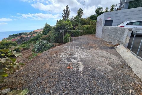 Helårsgrund i Caniço, Madeira, Caniço - € 560.000 | Ref: TER_1 - foto 18