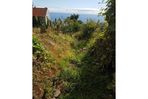Landejendom i Calheta, Madeira, Calheta - € 295.000 | Ref: CAS_159 - foto 4