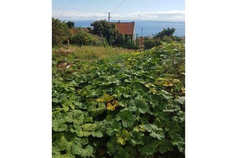 Landejendom i Calheta, Madeira, Calheta - € 295.000 | Ref: CAS_159 - foto 5