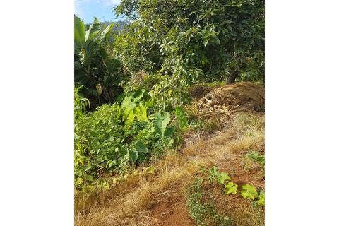 Landejendom i Calheta, Madeira, Calheta - € 295.000 | Ref: CAS_159 - foto 6
