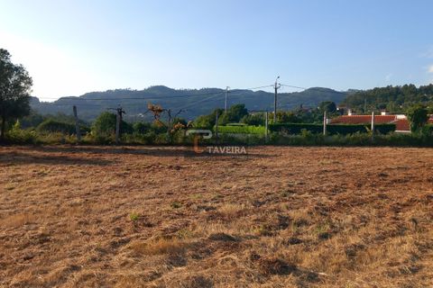 Helårsgrund i Arcos de Valdevez, Viana do Castelo, Arcos de Valdevez - € 87.000 | Ref: 2304 - foto 6