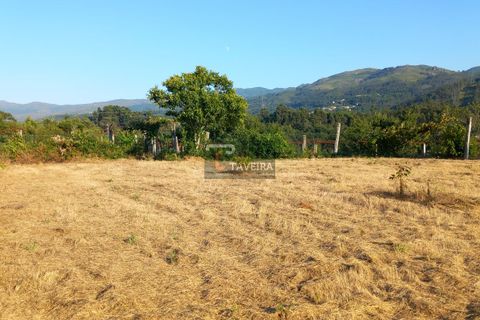 Helårsgrund i Arcos de Valdevez, Viana do Castelo, Arcos de Valdevez - € 87.000 | Ref: 2304 - foto 7