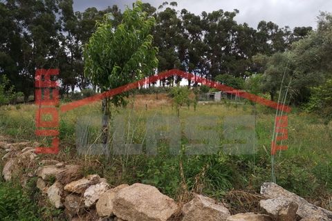 Terra a Vila Flor, Braganca, Vila Flor - € 10.000 | Ref: SÒL_1206 - foto 2