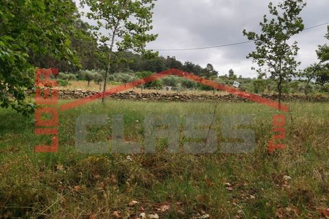 Terra a Vila Flor, Braganca, Vila Flor - € 10.000 | Ref: SÒL_1206 - foto 3