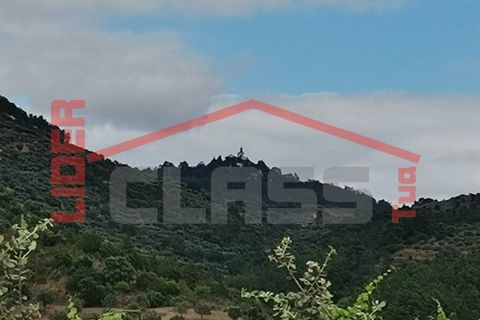 Terra a Vila Flor, Braganca, Vila Flor - € 10.000 | Ref: SÒL_1206 - foto 4