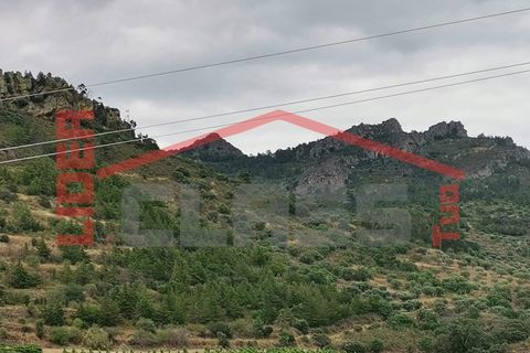 Terra a Vila Flor, Braganca, Vila Flor - € 10.000 | Ref: SÒL_1206 - foto 5