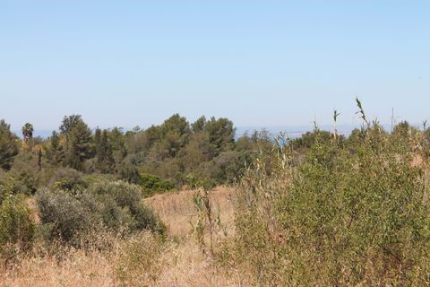Helårsgrund i Estombar, Faro, Estombar - € 1.450.000 | Ref: T/04934 - foto 2