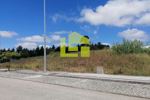 Terra a Condeixa-a-Nova, Coimbra, Condeixa-a-Nova - € 60.000 | Ref: LT1227 - foto 3