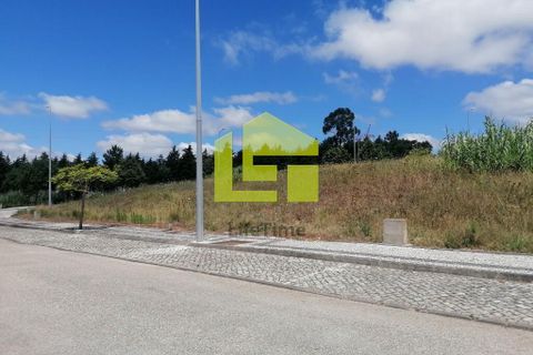 Terra a Condeixa-a-Nova, Coimbra, Condeixa-a-Nova - € 60.000 | Ref: LT1227 - foto 4