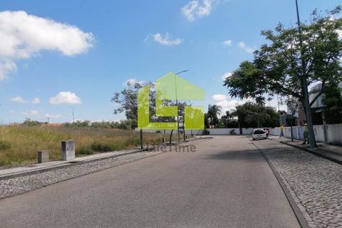 Terra a Condeixa-a-Nova, Coimbra, Condeixa-a-Nova - € 60.000 | Ref: LT1227 - foto 5