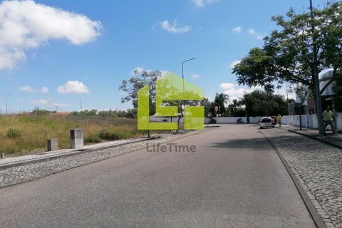 Terra a Condeixa-a-Nova, Coimbra, Condeixa-a-Nova - € 60.000 | Ref: LT1227 - foto 6
