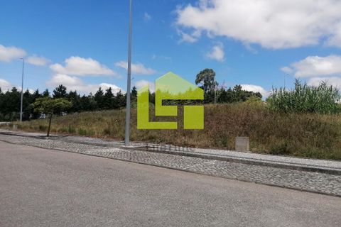 Terra a Condeixa-a-Nova, Coimbra, Condeixa-a-Nova - € 60.000 | Ref: LT1227 - foto 9