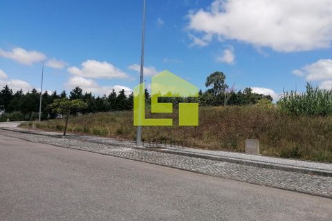 Terra a Condeixa-a-Nova, Coimbra, Condeixa-a-Nova - € 60.000 | Ref: LT1227 - foto 10