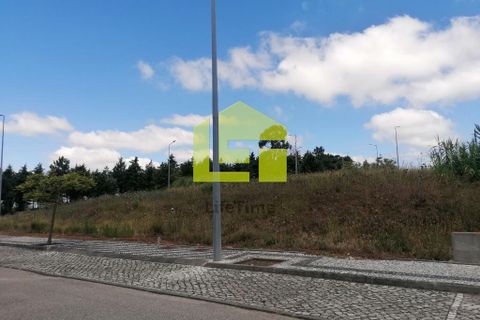 Terra a Condeixa-a-Nova, Coimbra, Condeixa-a-Nova - € 60.000 | Ref: LT1227 - foto 12