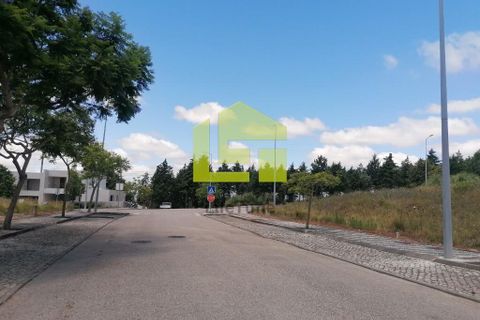 Terra a Condeixa-a-Nova, Coimbra, Condeixa-a-Nova - € 60.000 | Ref: LT1227 - foto 13