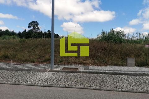 Terra a Condeixa-a-Nova, Coimbra, Condeixa-a-Nova - € 60.000 | Ref: LT1227 - foto 14