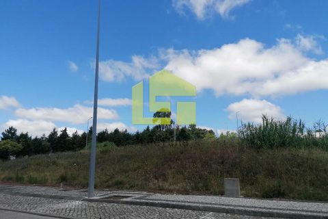 Terra a Condeixa-a-Nova, Coimbra, Condeixa-a-Nova - € 60.000 | Ref: LT1227 - foto 15